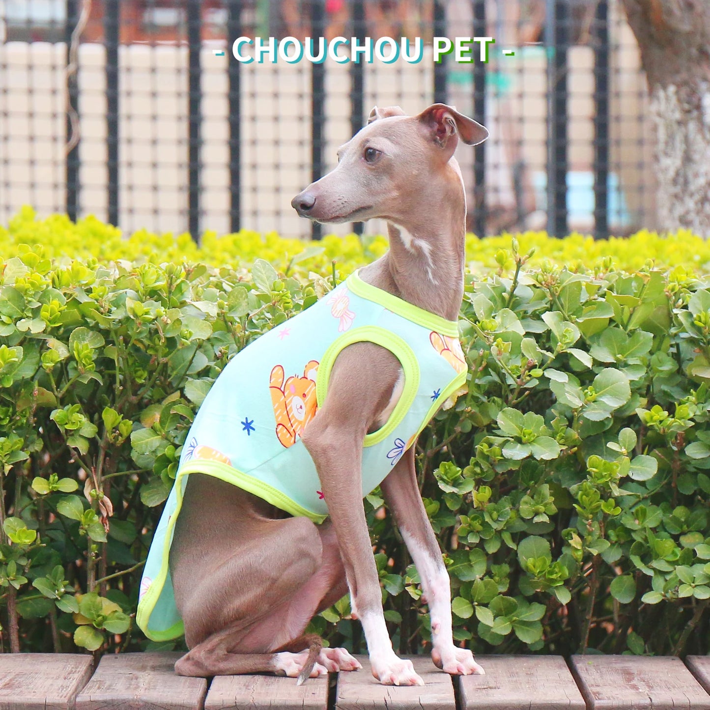 Camiseta de Algodón Ositos