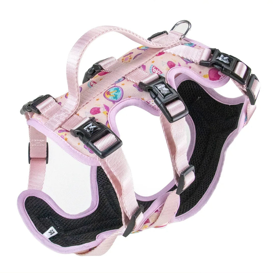 Arnés de Tres Puntos (antiescape)