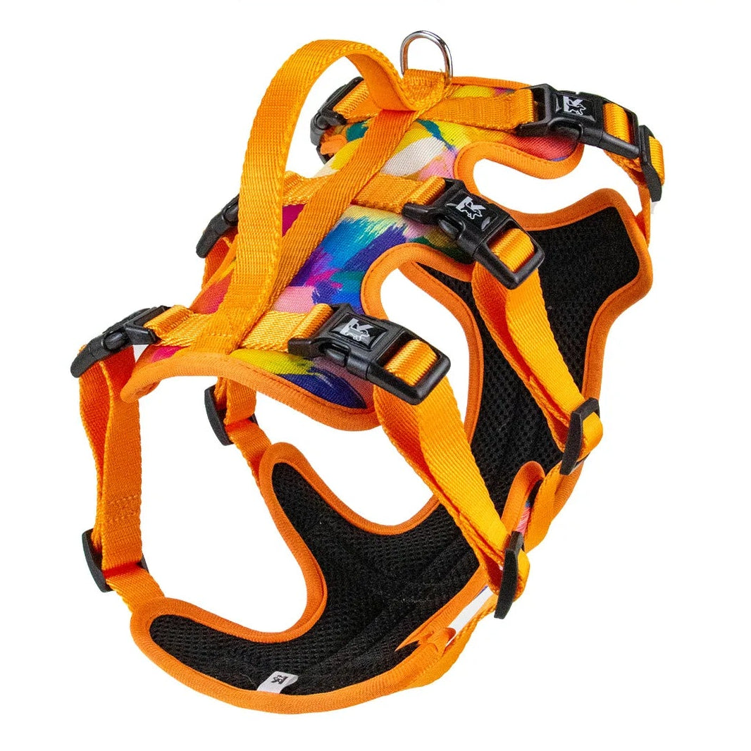 Arnés de Tres Puntos (antiescape)