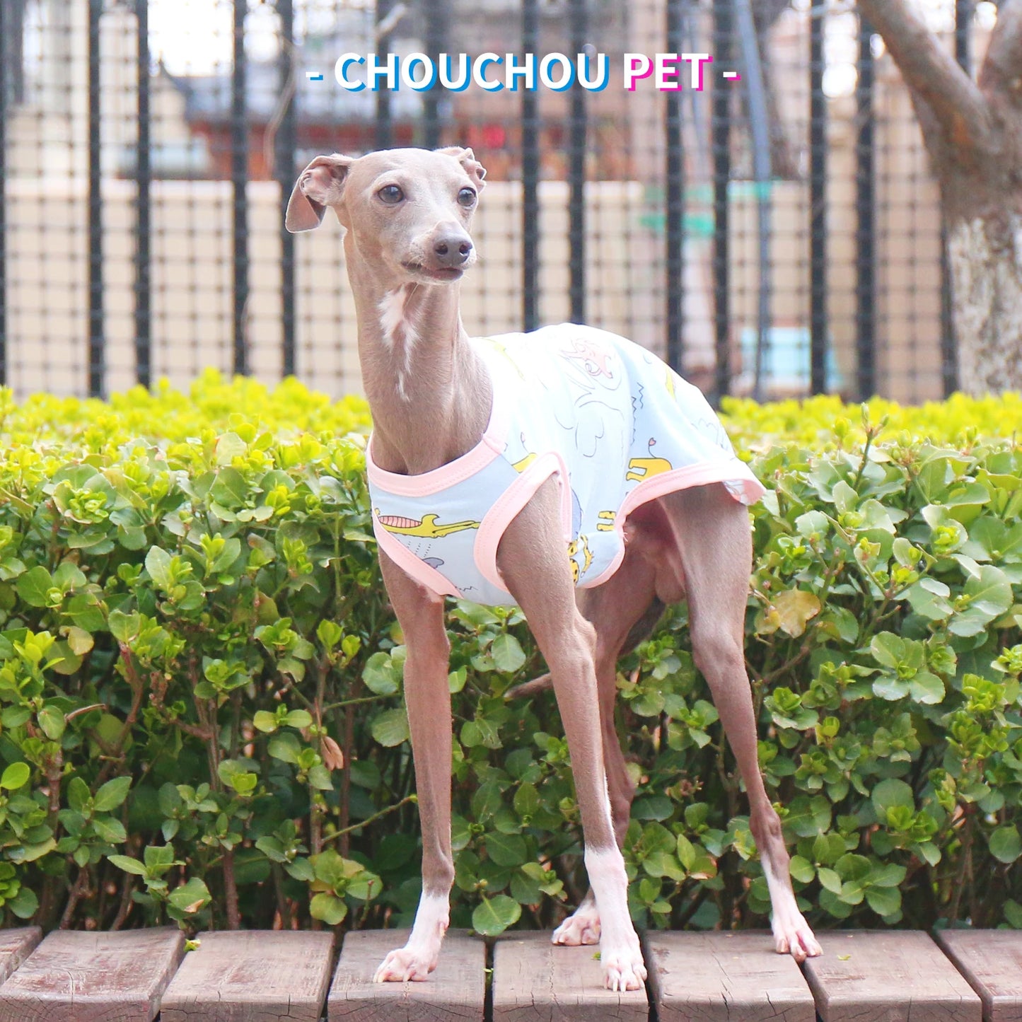 Camiseta de Algodón Ositos